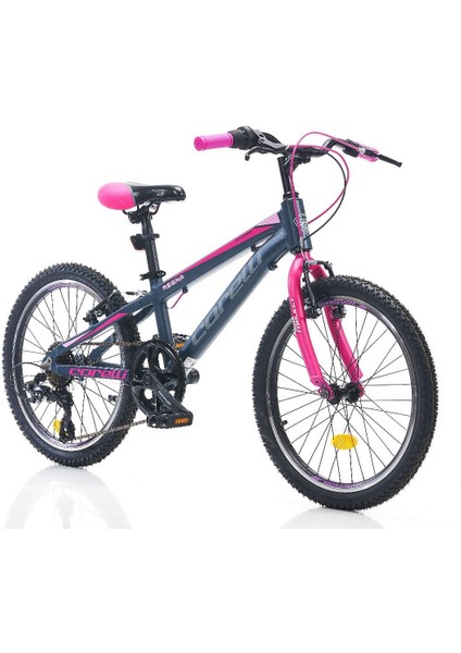 Regina - 20 Jant 7 Vites Çocuk Bisikleti - Mavi Pembe