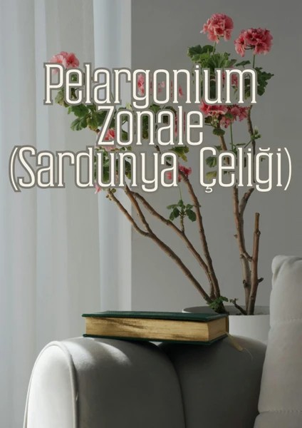 - Güneş Bahçesi - Narenciye ve Balkon Bitkileri Için Özel Toprak Karışım fiyatları