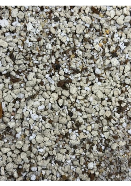 - Güneş Bahçesi - Narenciye ve Balkon Bitkileri Için Özel Toprak Karışım modelleri