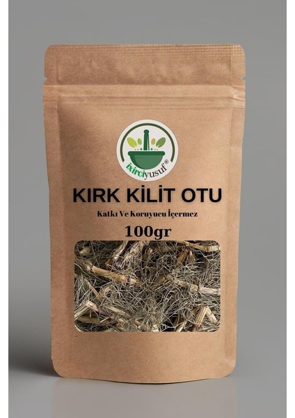 Kırkkilit Otu (At Kuyruğu) 100 G – Doğal