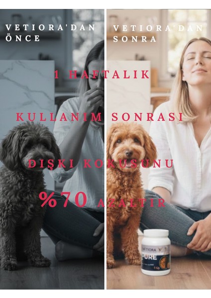 Yeni Nesil Küçük Irk Yetişkin Köpek Maması, İnsan Sınıfı Formunda, Et, Tahıl, Meyve, Sebze 1 kg