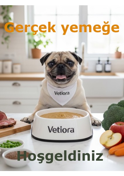 Yeni Nesil Küçük Irk Yetişkin Köpek Maması, İnsan Sınıfı Formunda, Et, Tahıl, Meyve, Sebze 1 kg