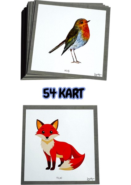 Hayvan Kartları, Okulöncesi, Özel Eğitim Etkinlik Kartları