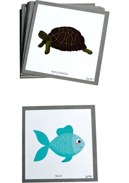 Hayvan Kartları, Okulöncesi, Özel Eğitim Etkinlik Kartları fiyatları