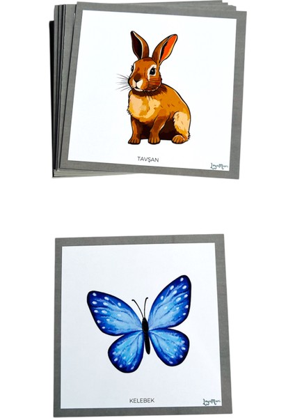 Hayvan Kartları, Okulöncesi, Özel Eğitim Etkinlik Kartları modelleri