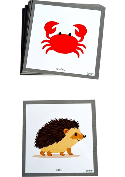 Hayvan Kartları, Okulöncesi, Özel Eğitim Etkinlik Kartları fırsatları