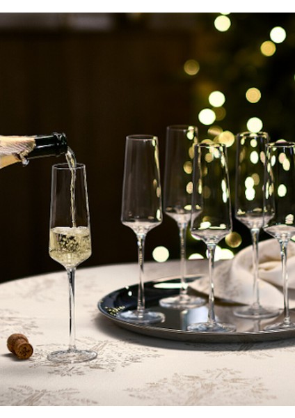 Şampanya Bardağı 2'li Set modelleri