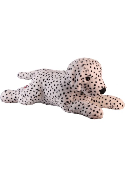 1140 90 cm Dalmaçyalı Köpek fiyatları