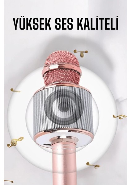 Taşınabilir Bluetooth Karaoke Mikrofon: Hafıza Kart Girişli, Etkileyici Performans fırsatları