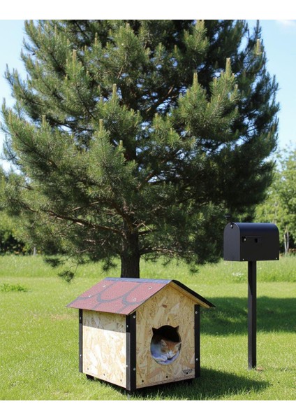 Kedi Kulübesi i 30 x 40 x 40 cm modelleri