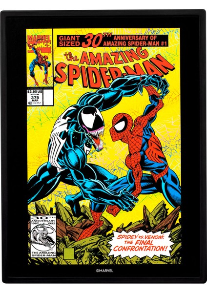 Marvel Spider-Man Venom'a Karşı MV02 modelleri