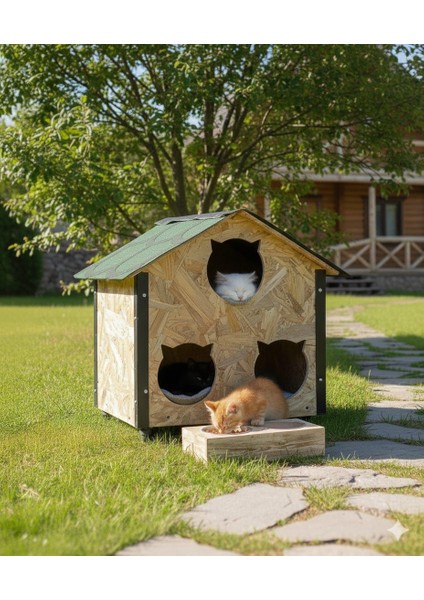 Kedi Kulübesi fırsatları