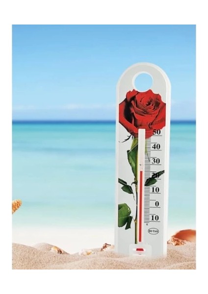 Gül Desenli Termometre fiyatları