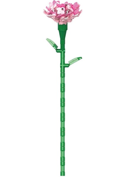 Blx Karanfil Buketi 8803 modelleri