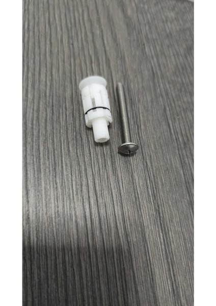 Gi̇zli̇ Dübel ve Vi̇da