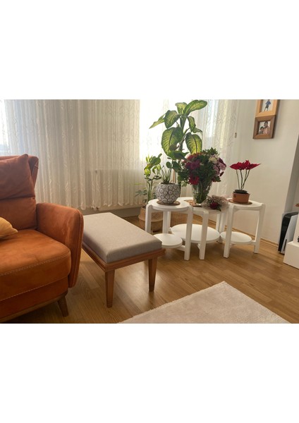 El Yapımı Ahşap Minderli Kayın Ağacı Premium Bench