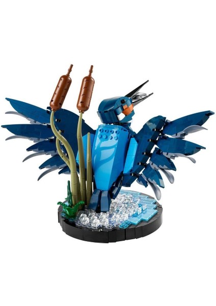 10331 LEGO Icons - Yalıçapkını Kuşu 834 Parça +18 Yaş modelleri