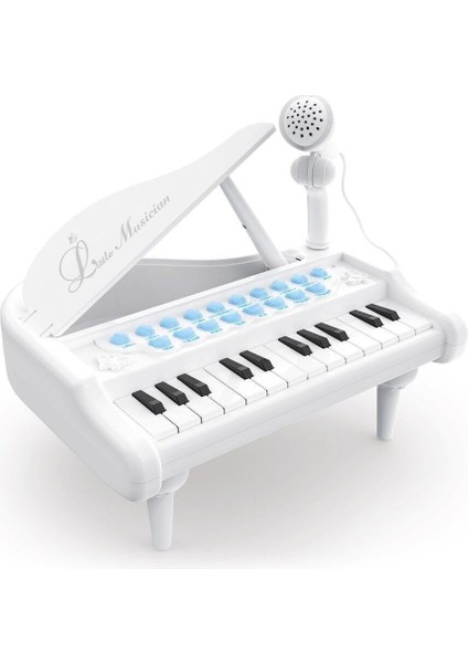 BAO-1505A Mikrofonlu Mini Piano 24 Tuş Mp3 Çalar modelleri