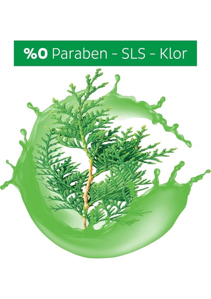 Pine Yüzey Temizlik Havlusu 100’LÜ – Çam Ferahlığı – Doğal ve Iz Bırakmayan Formül – Ekonomik 3’lü Paket modelleri