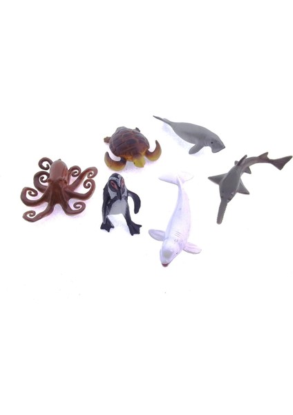 Model Deniz Hayvanları fırsatları