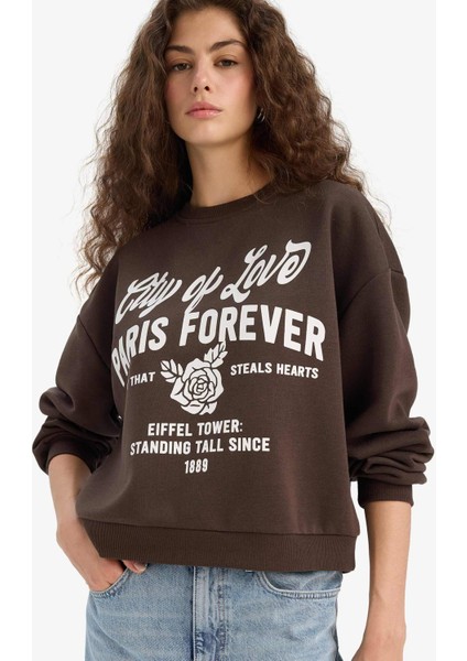 Kadın Sweat E8602AX/BN258 Brown fiyatları