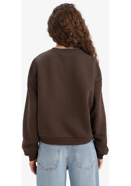 Kadın Sweat E8602AX/BN258 Brown fırsatları