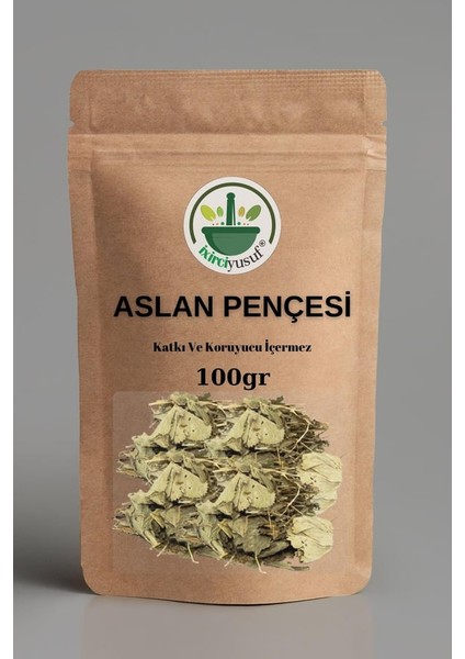 Aslan Pençesi (Testere Dişli) 100 G – Yeni Mahsül