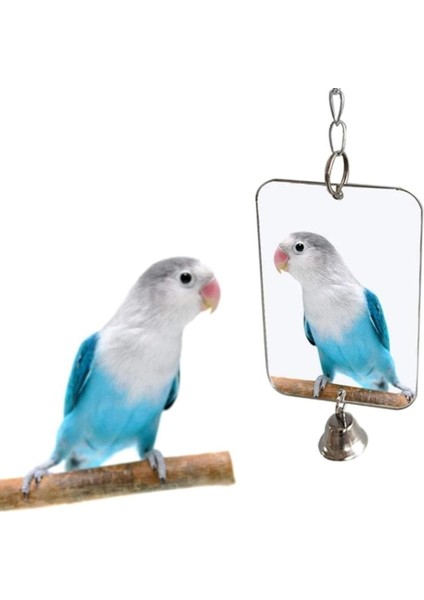 Uniq Bird Toys Zilli Dikdörtgen Kuş Aynası Oyuncağı ( Muhabbet Cennet Vb. )