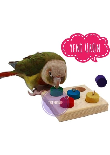 Trendme Ahşap Kuş Eğitim Oyuncağı