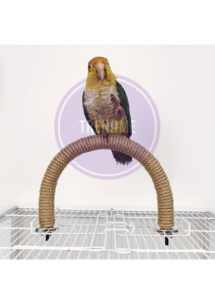 Trendme Tırnak Törpülemeli Halatlı U Kuş Tüneği modelleri