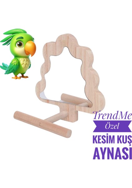 Trendme Ahşap Ağaç Şekilli El Yapımı Tünekli Kuş Aynası