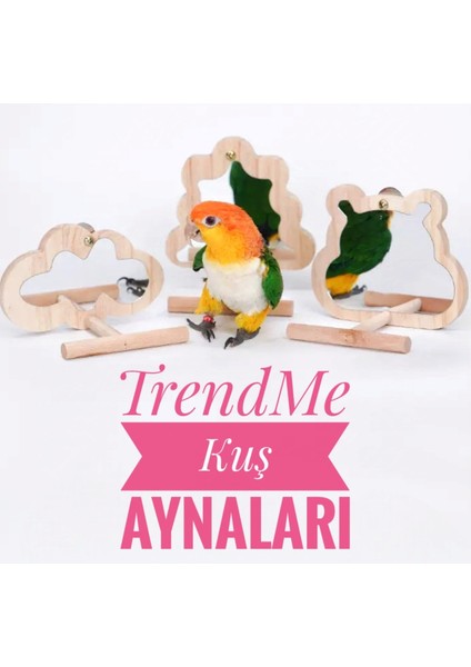 Trendme Ahşap Ağaç Şekilli El Yapımı Tünekli Kuş Aynası modelleri