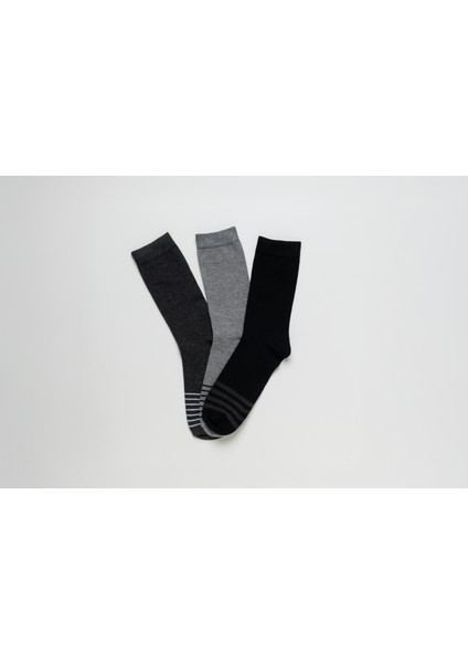 Flex Siyah Gri Çizgili 3'lü Erkek Çorap fiyatları