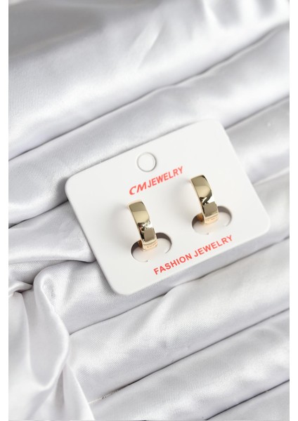 14K Gold Renk Kaplama cm Kadın Küpe - TJ-BKP11408