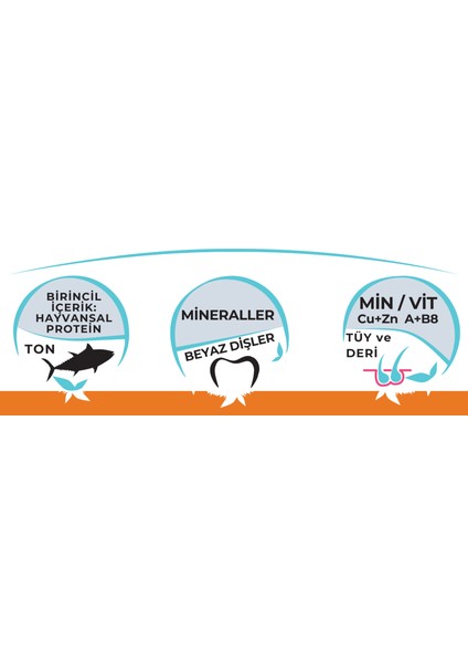 Mini Adult Sensitive Ton Balıklı Küçük Irk Yetişkin Köpek Maması 2kg modelleri