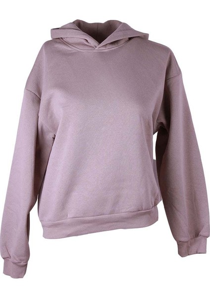 3 Ip Şardonlu Kapüşonlu Vizon Kadın Sweatshirt 26KDT1000009