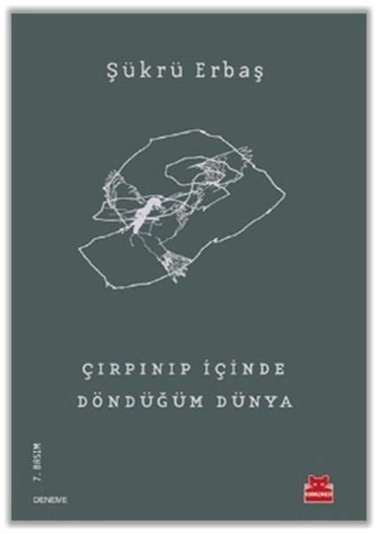 Çırpınıp Içinde Döndüğüm Dünya