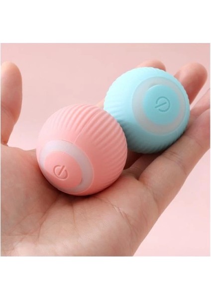 Interaktif Kedi Köpek Şarjlı Oyun Topu fiyatları