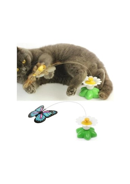Hareketli Pilli Kelebek Kedi Oyuncağı modelleri
