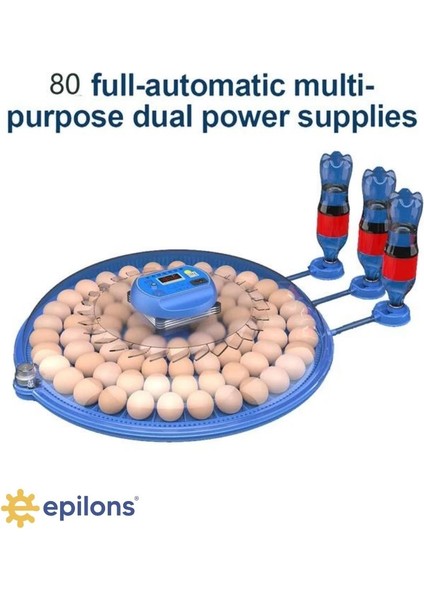 80 Yumurta Kapasiteli Otomatik Çiftlik Kuluçka Makinesi : Yumurta, Bıldırcın, Civciv ve Kanatl