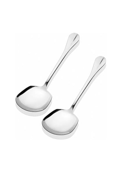 Store 2 Adet Çelik Sofra Servis Kaşığı 21 cm 86951236541258AYBABA