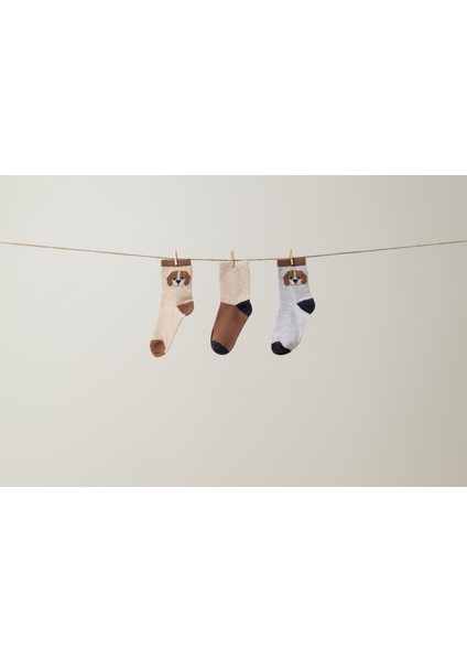 Puppy Erkek Çocuk Köpek Desen 3'lü Çorap