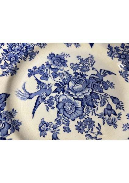 Wedgwood Porselen Dekor Tabağı 25 cm Çapında modelleri