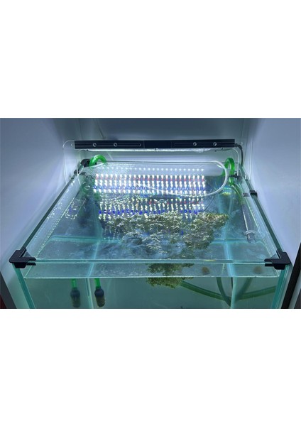 Akvaryum Buhar Cam Tutucu modelleri