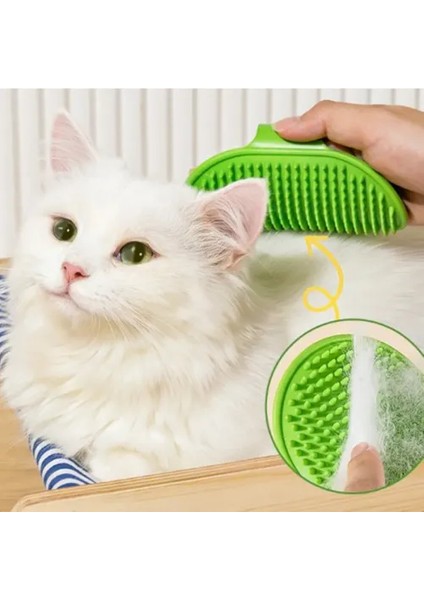 Hayvan Tüy Toplama Yıkama ve Köşe Kaşınma Silikon Fırçası