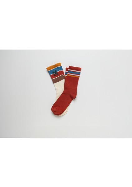 Terra Ekru Kiremit 2'li Kadın Çorap fiyatları