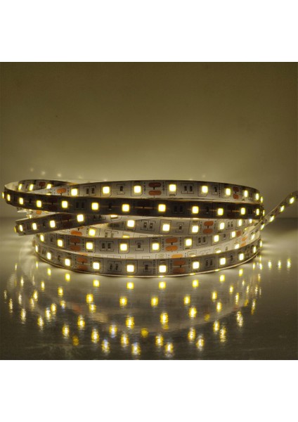 4040 Yeni Nesil Şerit LED 15 Metre + 17 Amper 204 Watt LED Trafo Cata