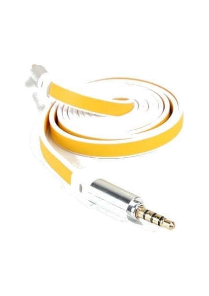 Aux Kablosu 100 cm fırsatları