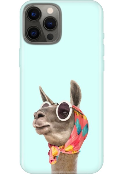 iPhone 12 Pro Kılıf Desenli Baskılı Tpu Rubber Kapak Deve