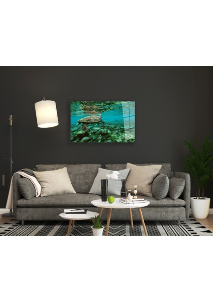 Deniz Kaplumbağası Cam Tablo modelleri